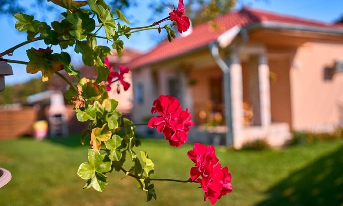 Debnevo Villa | Villa Simida