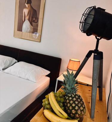 Skopje Region Apartment | Villa Srna Apartments