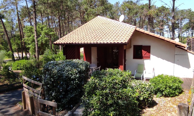 Moliets-et-Maa House | Villa/Studio under the pines, near the ocean and golf course -Pool -Large terrace