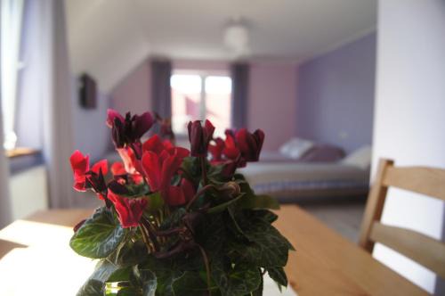 Pruszcz Gdanski Apartment | Villa Terra