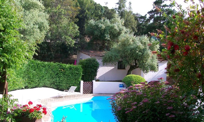 Eccica-Suarella Villa | VILLA UNDER THE OLIVE TREES