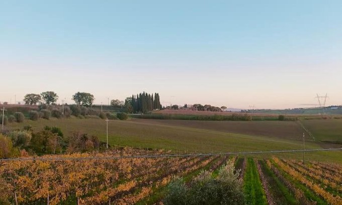 Ferretto House | Villa vista vigneto