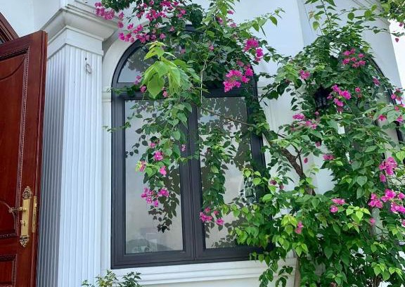 Thach That Apartment | Villas Little White House Quê Vải