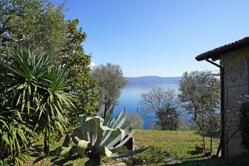 Pulciano Villa | Ville in uliveto vista lago - VILLA CASALIVA