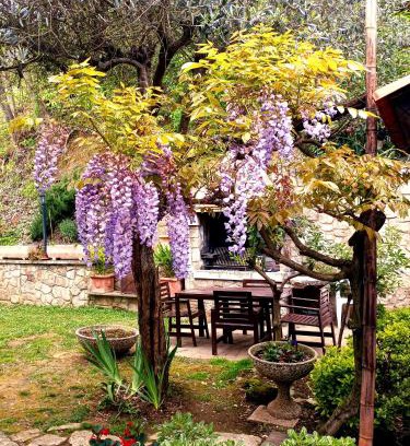 Albettone House | Villino San Silvestro