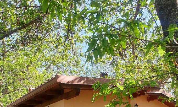 Segni Apartment | Villino surrounded by nature