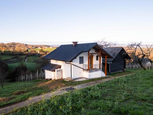 Novo Mesto House | Vineyard cottage Majolka