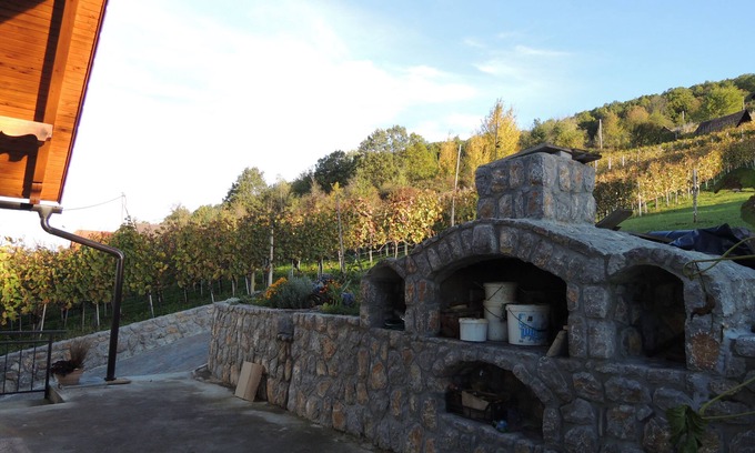 Trebnje House | Vineyard cottage Pod piramido