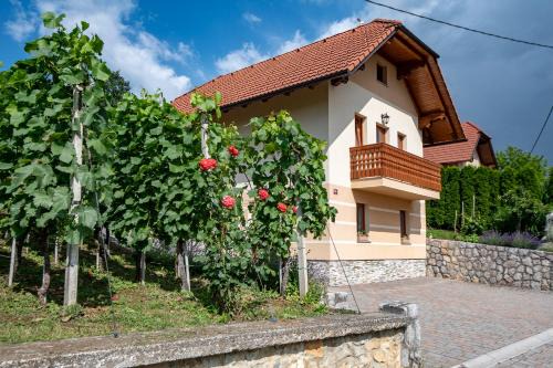 Dobrnic House | Vineyard Cottage Pod Piramido