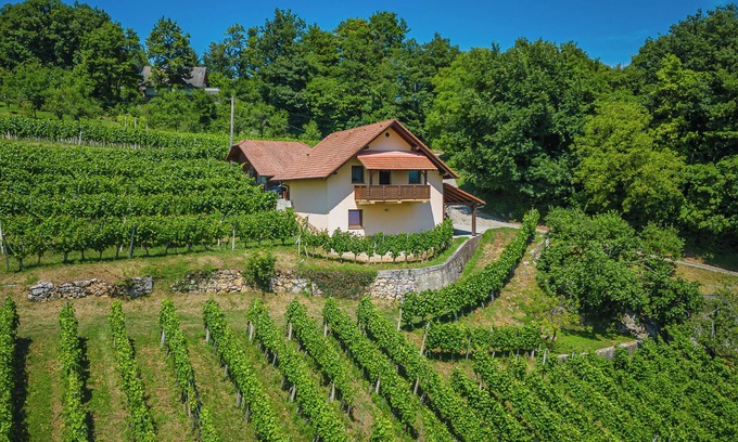 Srednje Grcevje House | Vineyard Cottage Ucman, Otočec, Slovenia