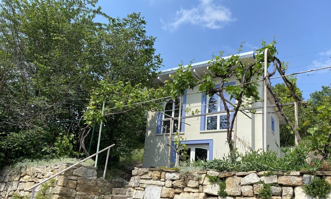 Salzatal House | Vineyard house with a view of the water