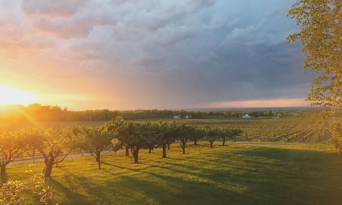 Beamsville House | Vineyard Estate House In Niagara