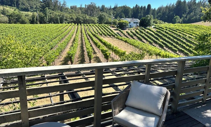 Forestville Apartment | Vineyard View 2-bedroom 1 bath in Forestville, AC, WIFI, STUNNING VIEWS!