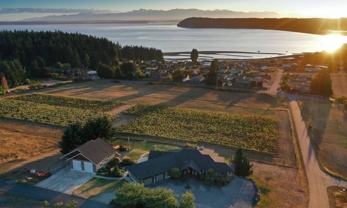 Clinton Villa | Vineyard Villa + Guesthouse/Swim Spa +Hot tub With A/C