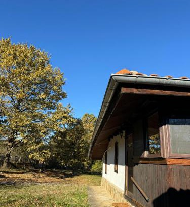 Elena House | Vintage House