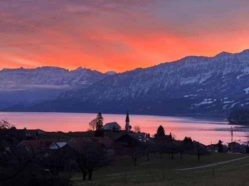 Faulensee House | Vintage Lake View Villa with Outdoor Pool