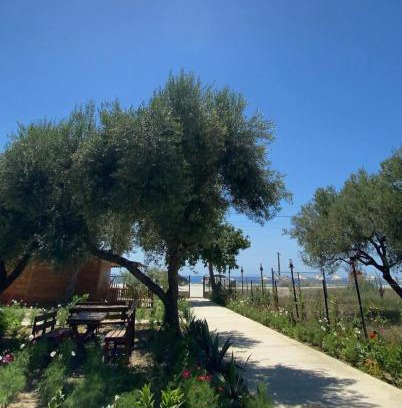 Qazim Pali Resort | Violet Village
