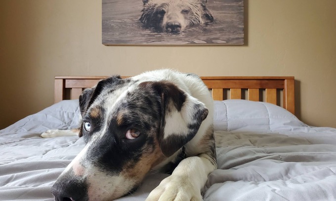 Grand Junction House | Visit Tres Chivos Farmhousenwarm and cozy, Kids and pet friendly too!