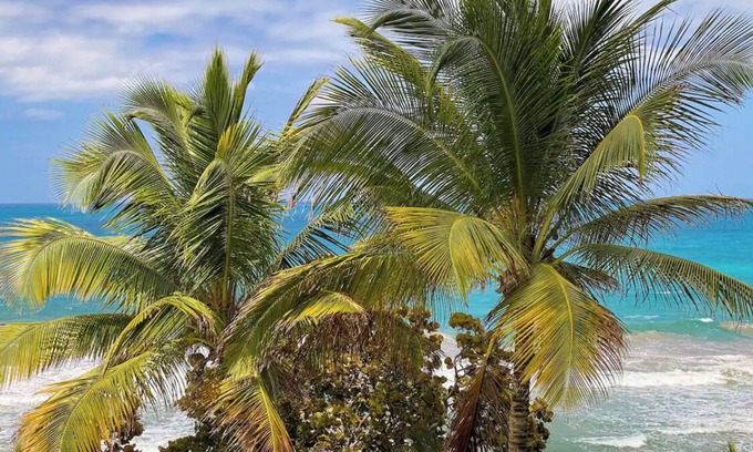 La Pared Condo | Vista Bonita Sandyhills modern 3bedroom,2bath s beach front condo