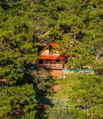 San Ignacio Ski Chalet | Vista pinares