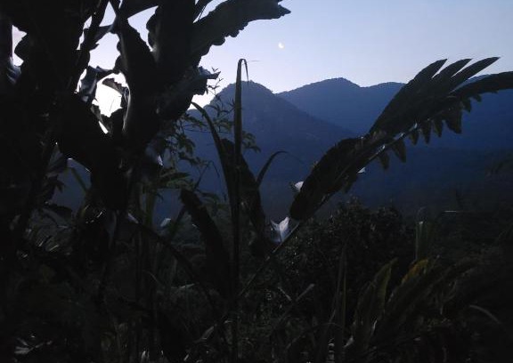 Mambucaba Cabin | Vista pra montanha