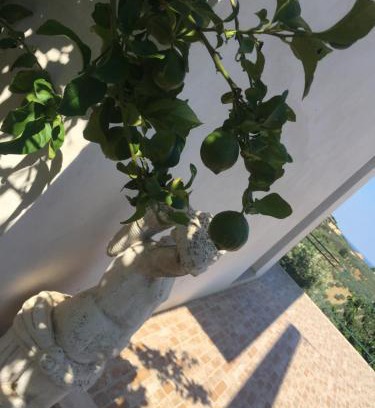 Vasto Apartment | Vista Vasto
