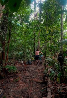 Alter do Chao Other | Viverde selva Redario natural