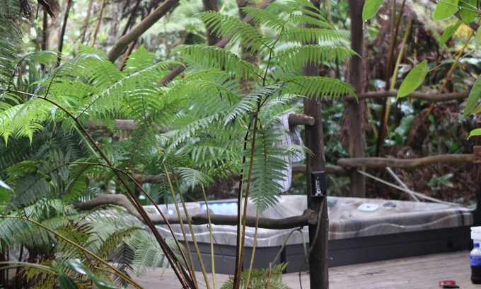 Volcano Cabin | Volcano Rainforest Retreat with a Hot Tub