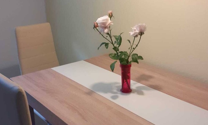 Gailingen Apartment | Vrbo Property