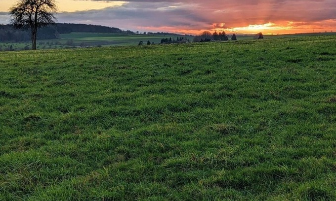 Argenschwang House | Vrbo Property