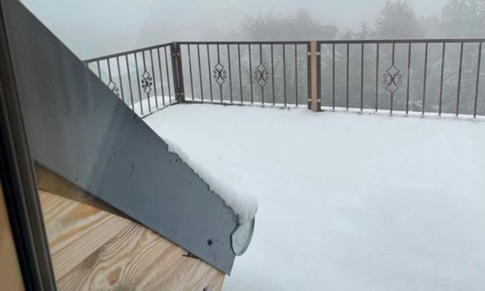 Biesnitz Apartment | Vrbo Property