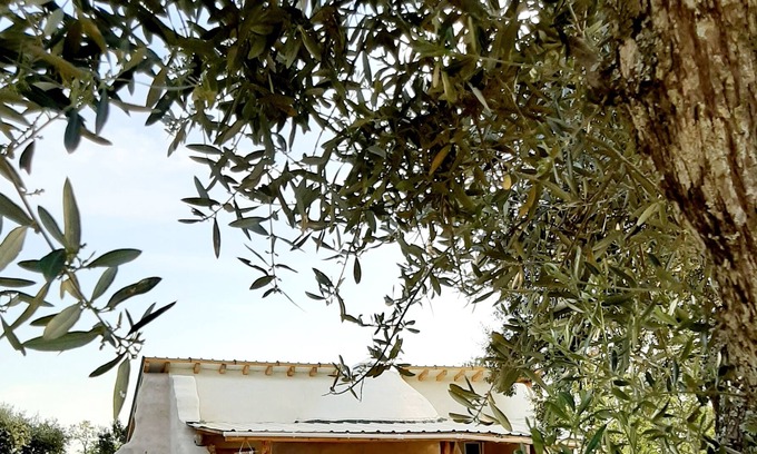 Penamacor Bed & Breakfast | Vrbo Property