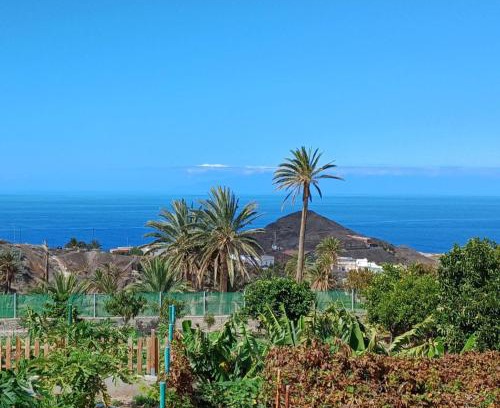 Alojera Apartment | Vv - Casa Clary -Finca Medina