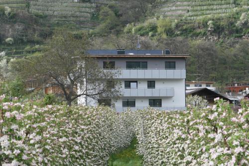 Silandro Apartment | Waalhof Ferienwohnung Apfelblüte