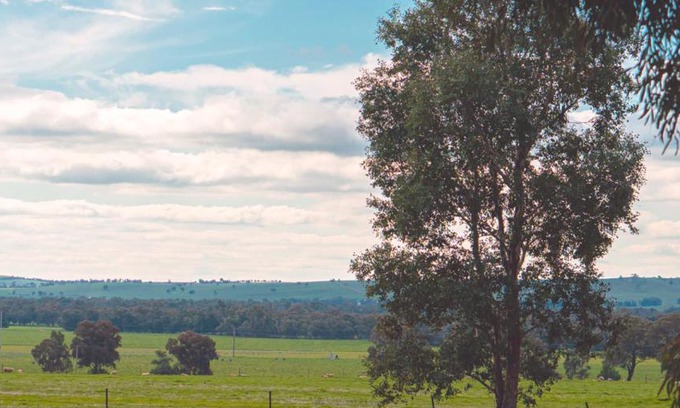 Forest Hill Resort | Wagga Wagga Tourist Park