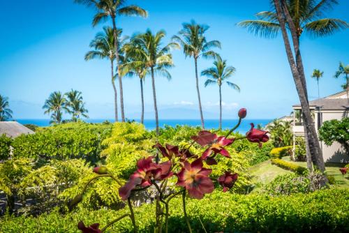 Wailea Apartment | Wailea Ekolu 1705 by Coldwell Banker Island Vacations