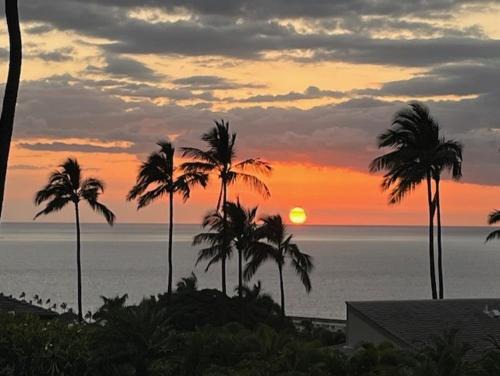 Wailea Apartment | Wailea Ekolu Village 1406