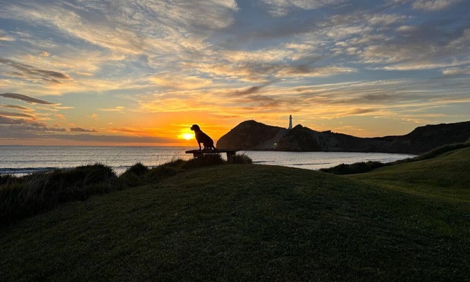 Castlepoint House | Waiwhare On The Beach (beachfront property with direct beach access)