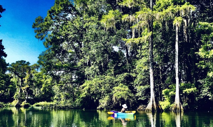 Crawfordville House | Wakulla River Retreat- Manatee Cottage