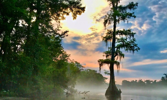 Crawfordville House | Wakulla River Retreat - a nature lover’s paradise