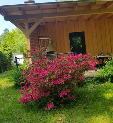 Oelsnitz/Erzgeb. Apartment | Waldbadhäusel Naturbad-Bungalow