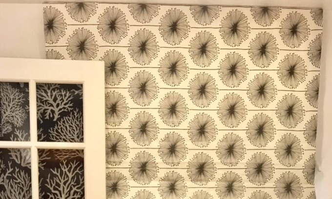 Outer Mission Apartment | Walk to BART in under ten minutes. Easy street parking. 2 bedroom apartment.