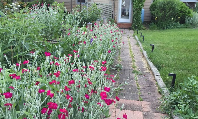 Southold House | WALK TO BEACH - Founders Landing, Southold - restaurants, Village, Jitney, LIRR