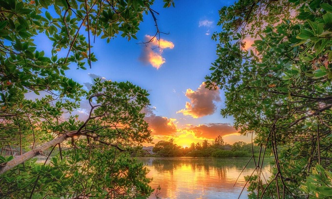 Bella Vista Condo | Walk to the beach, shopping, restaurants, and more! β€οΈππ