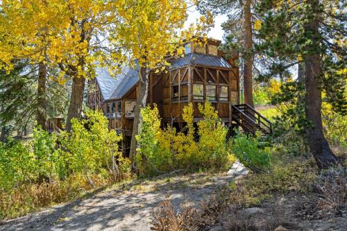 Bear Valley House | Walk to the Lake - Ski in out Amazing 5 Bdrm - VH#343