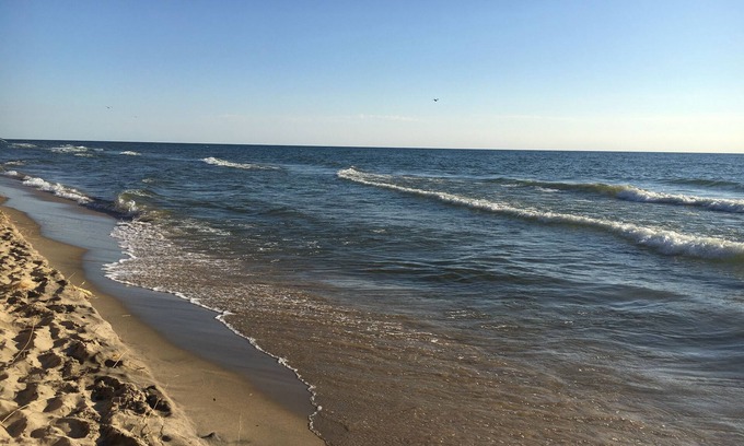 Holland House | Walking distance to the beach! Summer dates available. Grill, Deck & Fire Pit!