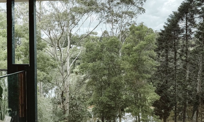 North Maleny House | Wallaby - Private 2 Bedroom, 2 Bathroom House Overlooking Ponds and Parkland