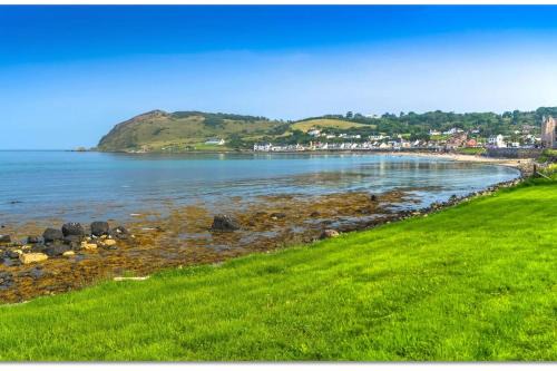 Larne Apartment | Walnut Apartment Larne