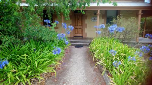 Angaston Resort | Walnut Cottage