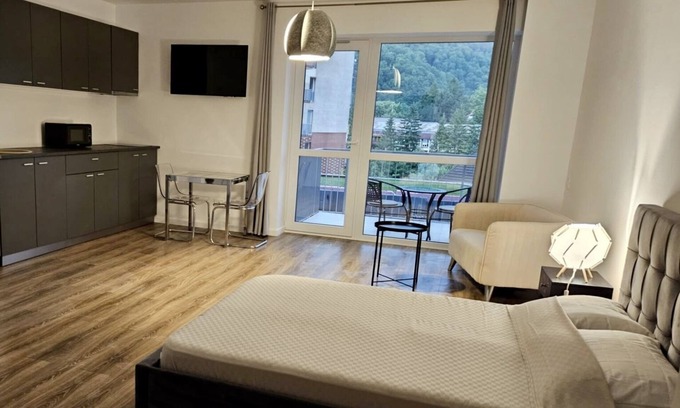 Sinaia Apartment | Walter Apartment Sinaia